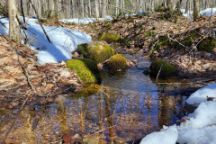 Cabane à sucre à St-Narcisse
