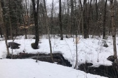 Chemin forestier Saint-Gérard des Laurentides 27 Mars 2021