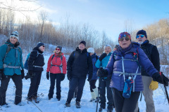 Les dinosaures de Shawinigan