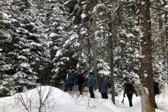 La Tuque
