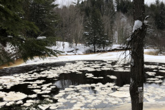  Parc de la Rivière Gentilly