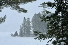 Le tour du lac Claire