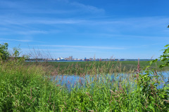 Parc écologique Godefroy - Bécancour