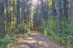 Parc-Chanteaudun-Cap-de-la-Madeleine-2