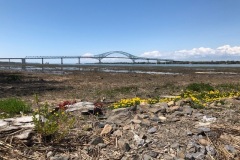Parc écologique Godefroy 16 Mai 2021