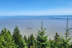 Longue fin de semaine à la Malbaie jour 1 Réserve  nationale de faune du Cap Tourmente