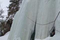 Vallée Bras-du-Nord,